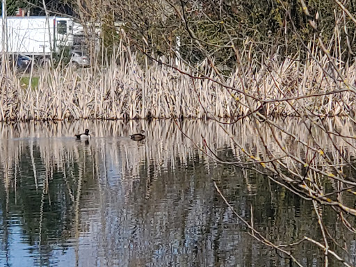 Park «Meridian Habitat Park & Community Center», reviews and photos, 14422 Meridian E, Puyallup, WA 98375, USA