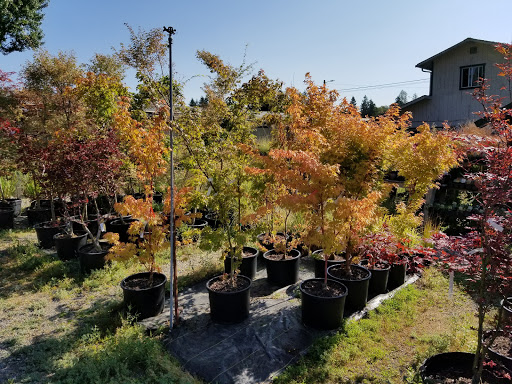 Plant Nursery «Sunnycrest Nursery and Floral», reviews and photos, 9004-B Key Peninsula Hwy N, Vaughn, WA 98394, USA