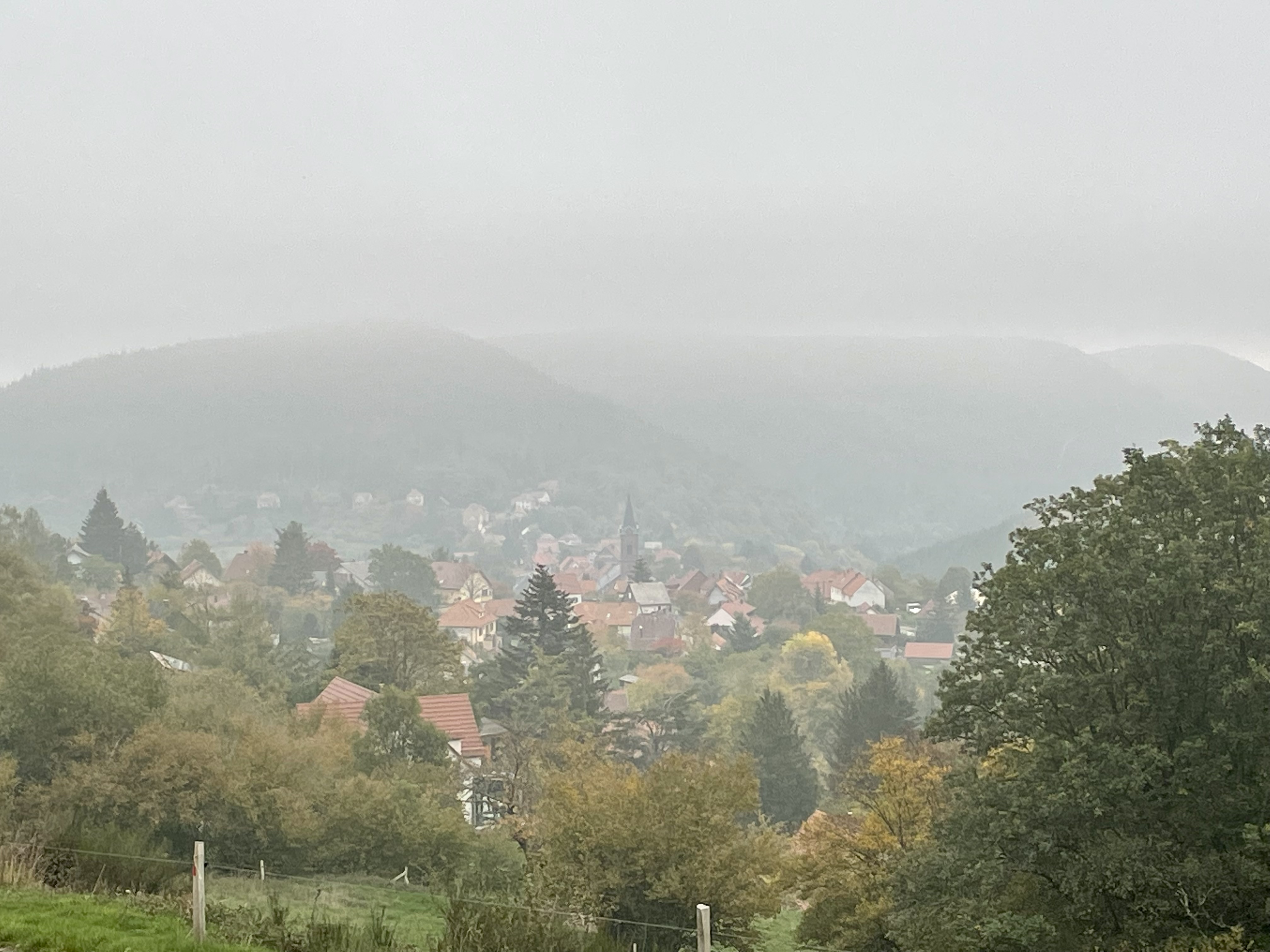 Photo n° 12 de l'avis de Caro.e fait le 23/10/2022 à 16:41