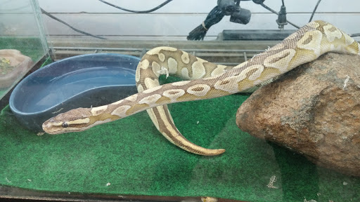 Pet Supply Store «Coral Reef», reviews and photos, 625 W Agency Rd, West Burlington, IA 52655, USA