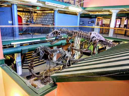 Museum «Museum of World Treasures», reviews and photos, 835 E 1st St N, Wichita, KS 67202, USA