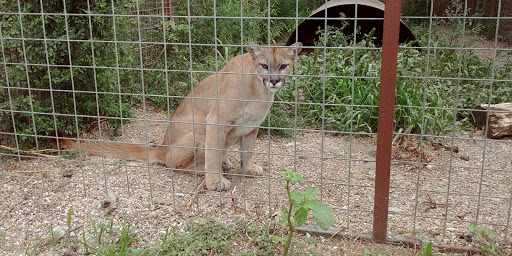 Zoo «Cricket Hollow Zoo», reviews and photos, 1512 210th St, Manchester, IA 52057, USA