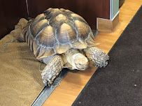 Brook-Falls Luxury Pet Resort & Doggy Day Care - Photo 4 - Car repair in Menomonee Falls, WI, Milwaukee