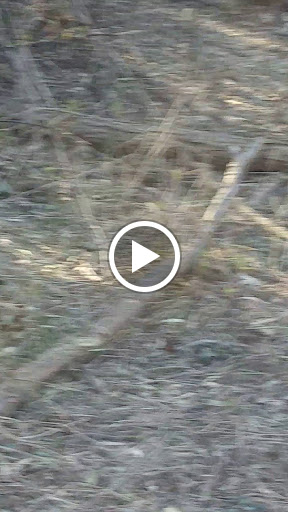 Park «Blandair Regional Park», reviews and photos, 5750 Oakland Mills Rd, Columbia, MD 21045, USA