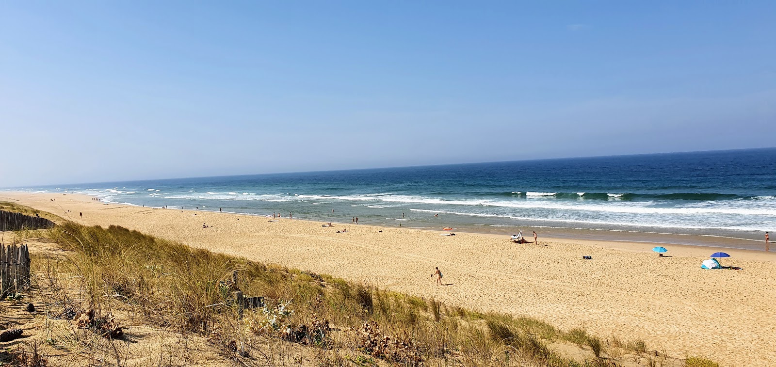 Photo de Jenny beach avec un niveau de propreté de très propre