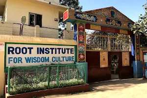 Root Institute for Wisdom Culture image