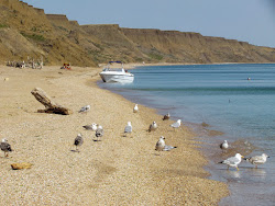 Photo de Oazis Beach avec rivage droit, long