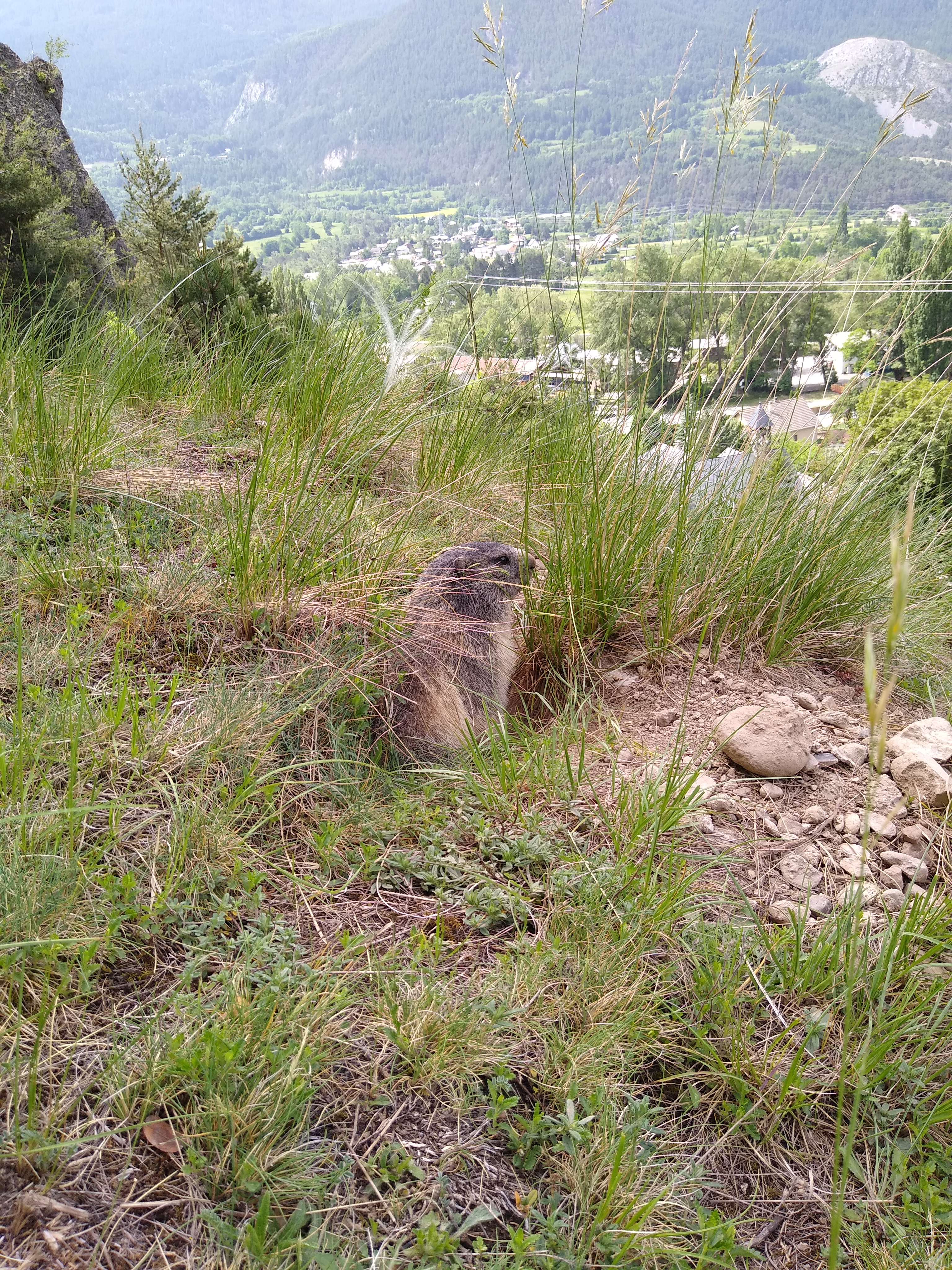 Photo n° 4 de l'avis de Stéphane.a fait le 22/05/2022 à 18:51