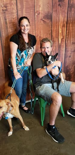 Insurance Agency «Dickerson Agency Inc», reviews and photos