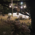 Photo n°2 de l'avis de Oriana.e fait le 13/08/2021 à 11:18 sur le  Azienda Agricola Palazzo Manzoni à San Zaccaria