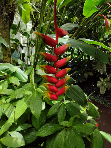 Gift Shop «NYBG Shop», reviews and photos, 2900 Southern Blvd, Bronx, NY 10458, USA