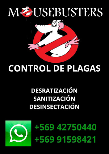 Mousebusters - Empresa de fumigación y control de plagas