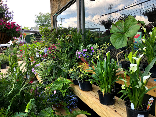 Plant Nursery «A Growing Concern Garden Center», reviews and photos, 1707 Spartanburg Hwy, Hendersonville, NC 28792, USA