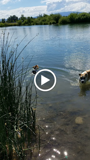 Animal Park «Dog Park At Gallatin County Regional Park (13 Acre w Pond)», reviews and photos, 3900 Baxter Ln, Bozeman, MT 59718, USA