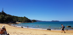 Photo de Breaker Bay Beach avec un niveau de propreté de très propre
