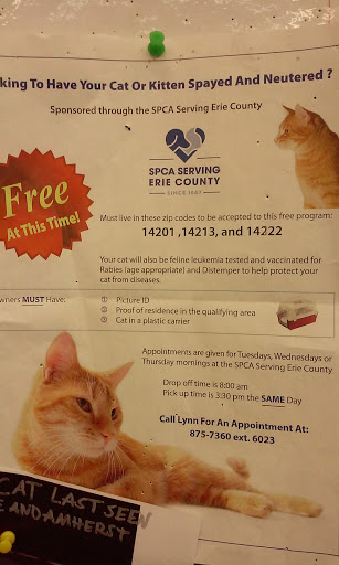 Pet Supply Store «Pet Supplies Plus», reviews and photos, 2155 Delaware Ave, Buffalo, NY 14216, USA