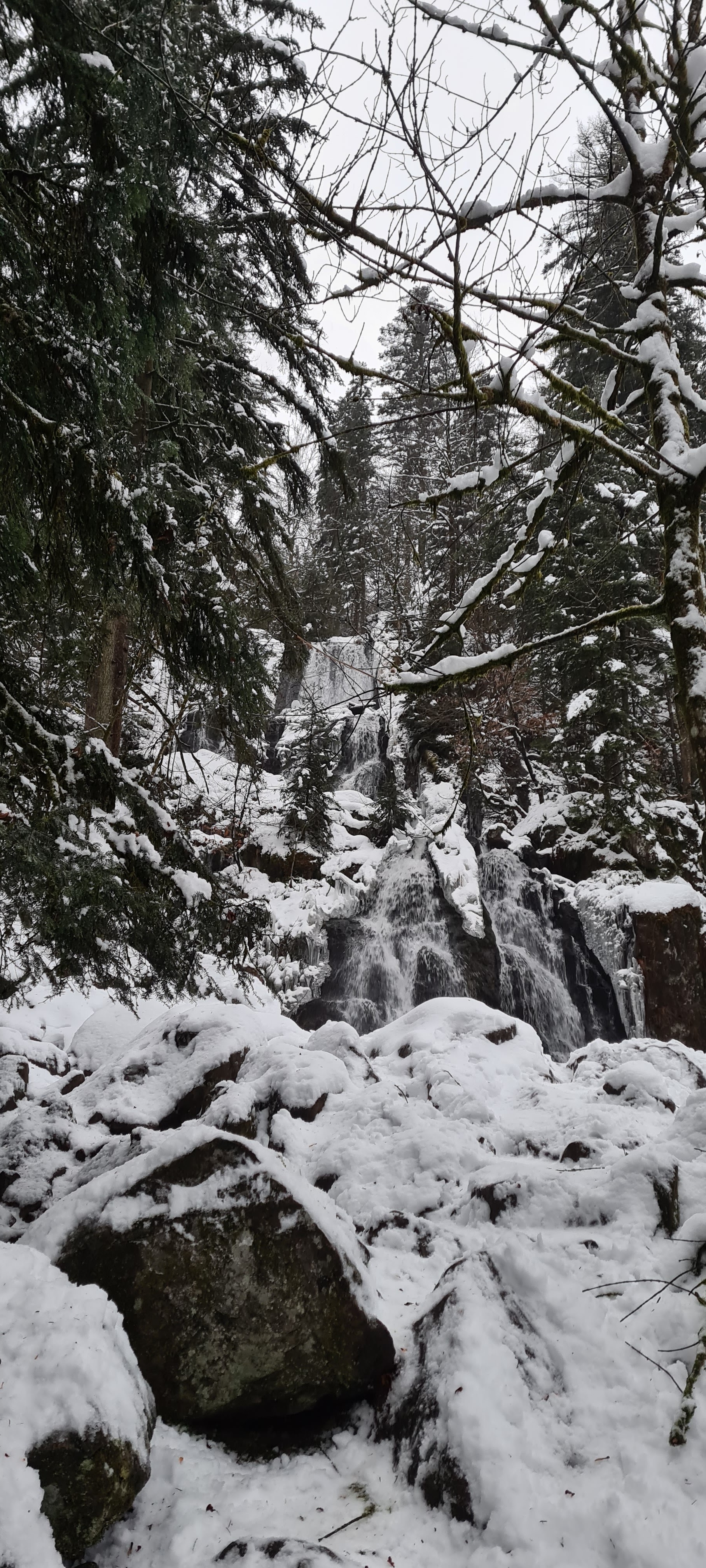 Photo n° 3 de l'avis de Ch'tite.s fait le 13/01/2021 à 16:15