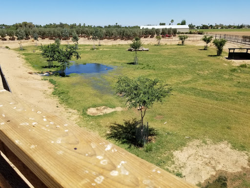 Zoo «Wildlife World Zoo, Aquarium & Safari Park», reviews and photos, 16501 W Northern Ave, Litchfield Park, AZ 85340, USA