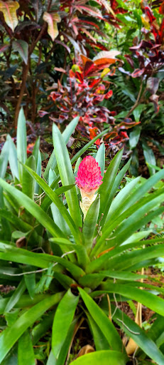 Water Park «LEGOLAND Florida Water Park», reviews and photos, 1204 Helena Rd, Cypress Gardens, FL 33884, USA