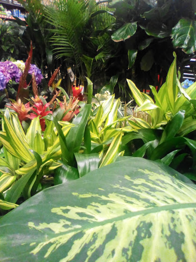 Home Improvement Store «The Home Depot», reviews and photos, 9200 Whittier Blvd, Pico Rivera, CA 90660, USA