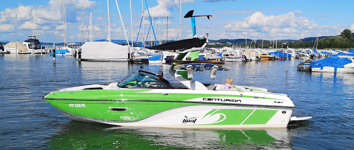 Wakeboat Garage SA Rte du Pré du Pont 89, 1786 Sugiez, Suisse