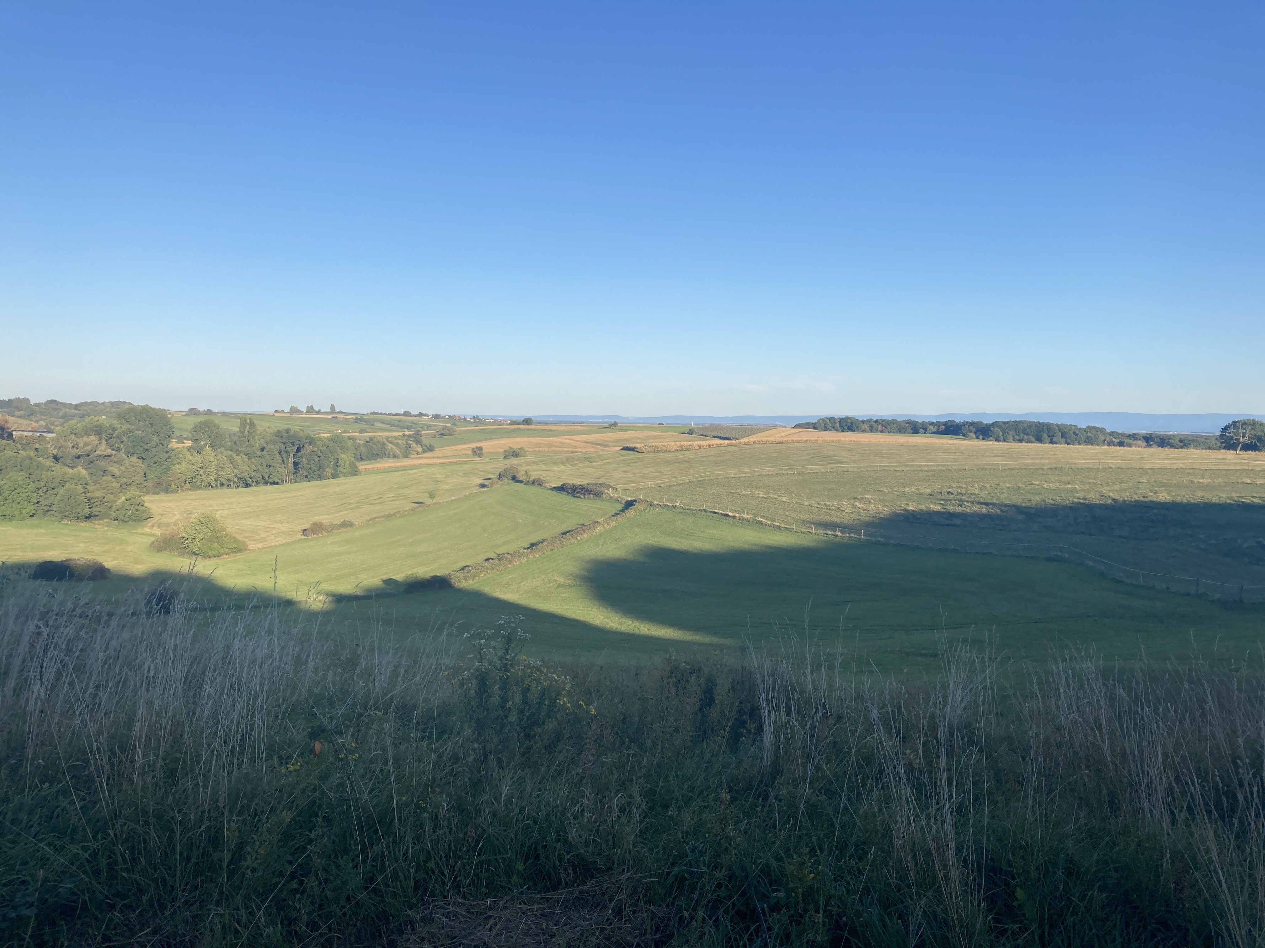 Photo n° 1 de l'avis de JJ. fait le 20/09/2023 à 16:19