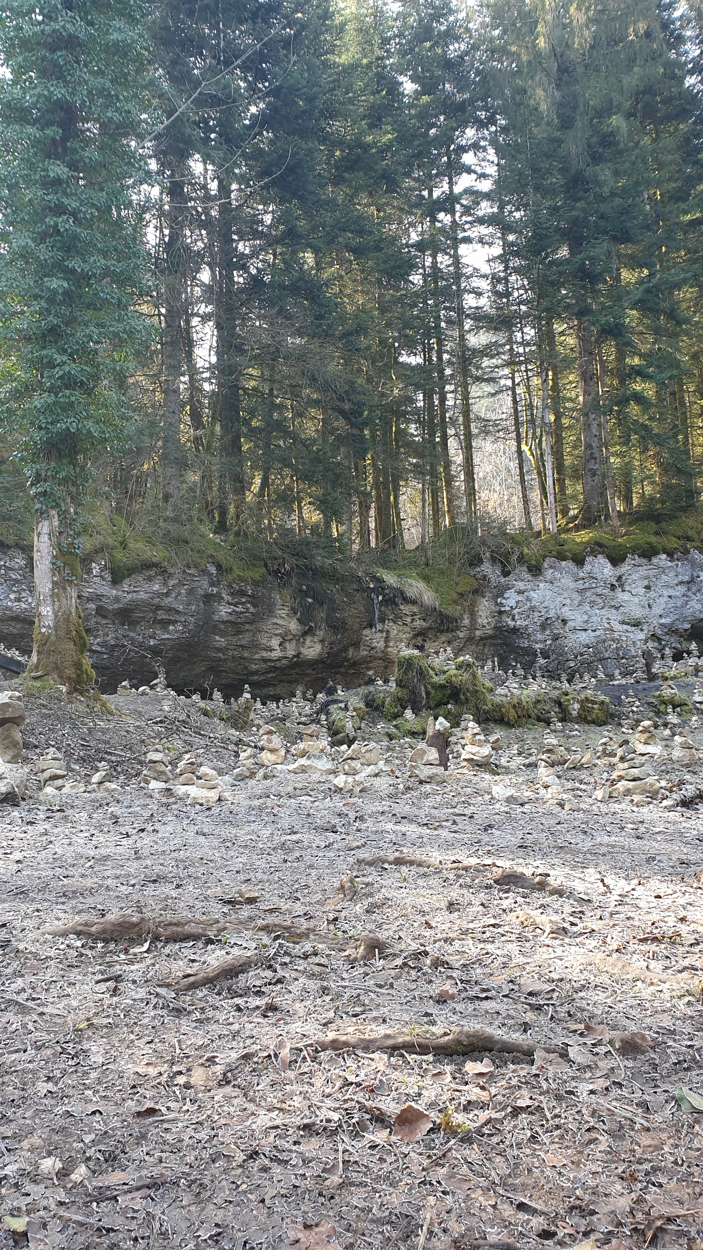 Photo n° 3 de l'avis de pirrera.o fait le 12/03/2021 à 07:17