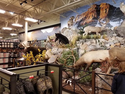 Outdoor Sports Store «Field & Stream», reviews and photos, 5215 Century Ave, Kalamazoo, MI 49006, USA
