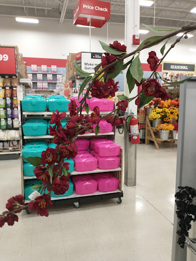 Craft Store «Michaels», reviews and photos, 310 Cbl Dr, St Augustine, FL 32086, USA