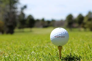 Bison Golf Club image