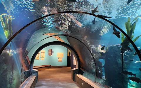 Oregon Coast Aquarium image