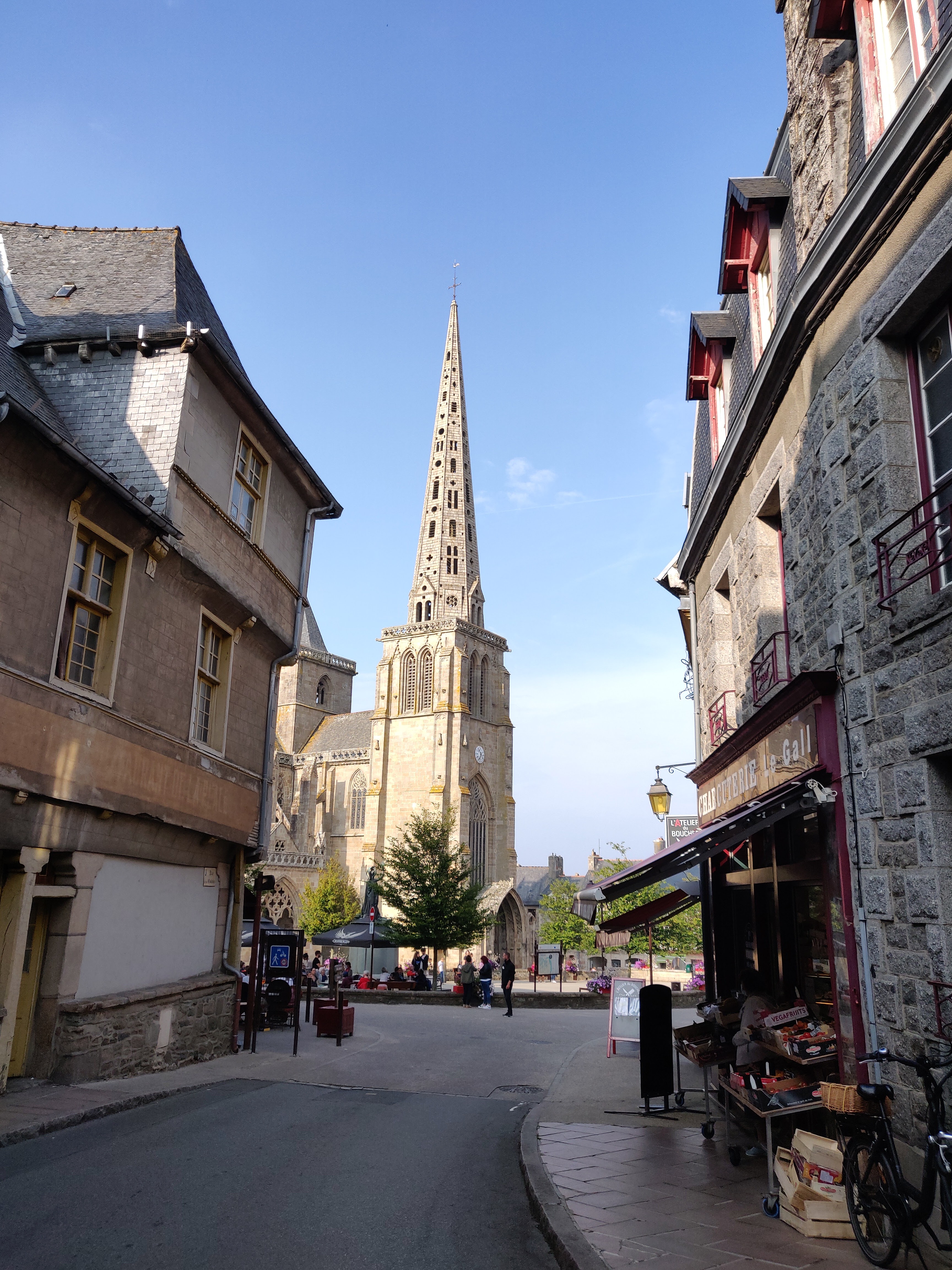 Photo n° 12 de l'avis de Lymeria. fait le 12/08/2020 à 18:30