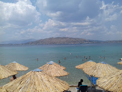 Gala Royal'in fotoğrafı plaj tatil beldesi alanı