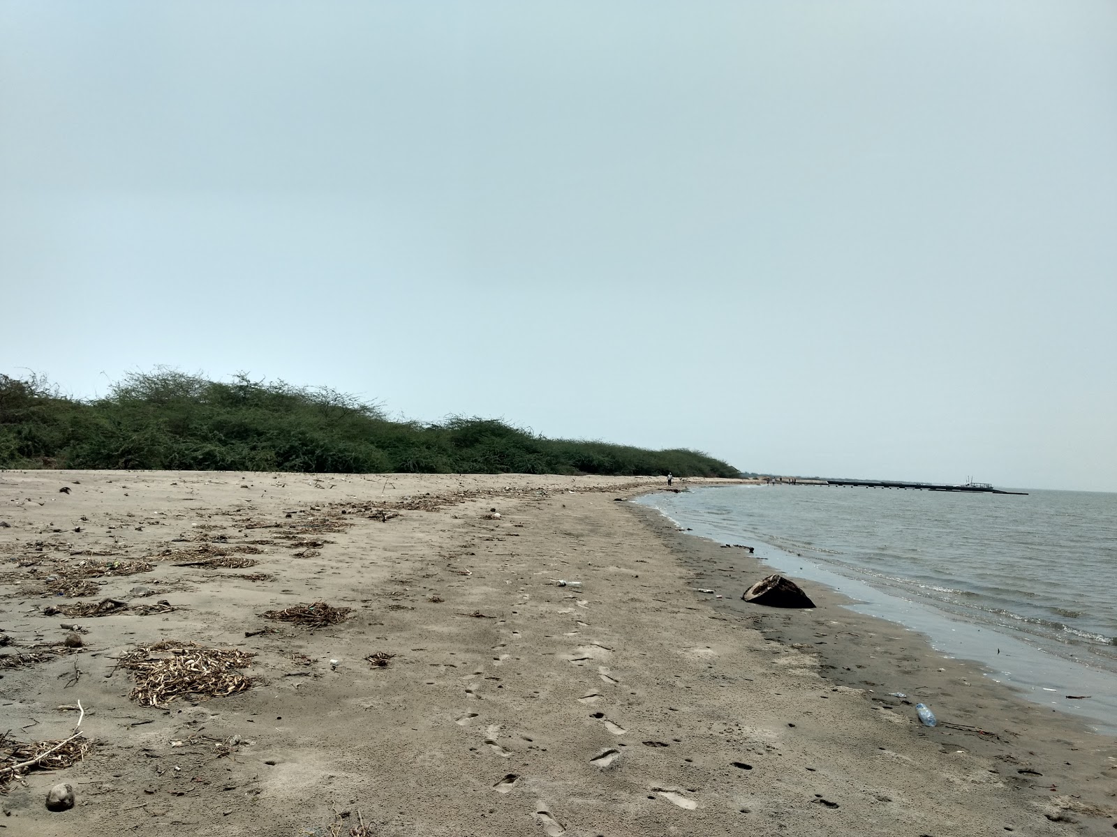 Photo de Hope Island Beach avec l'eau turquoise de surface