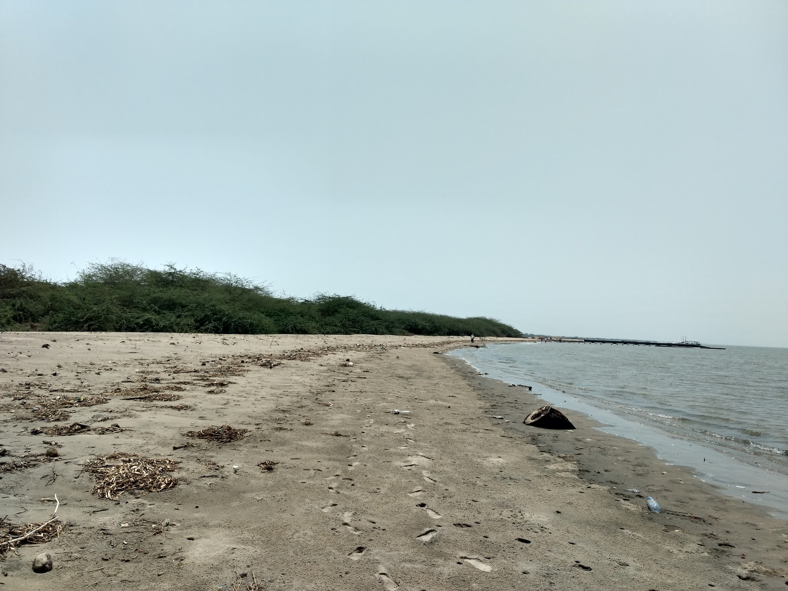 Photo de Hope Island Beach avec rivage droit, long
