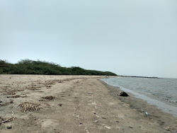 Photo de Hope Island Beach avec rivage droit, long