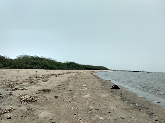 Hope Island Beach