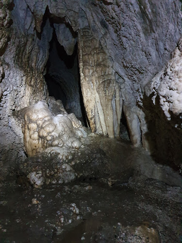 Mangaone Caves Track - Museum