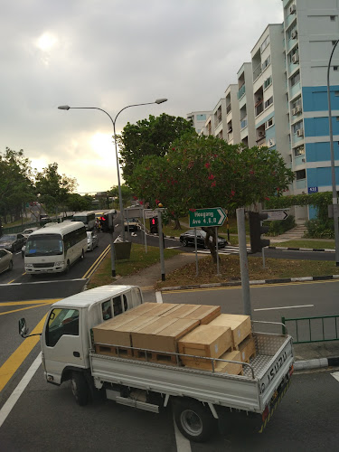Opinii despre Block 633 HDB Hougang în Singapore - Other
