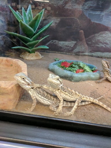 Pet Supply Store «Petco Animal Supplies», reviews and photos, 6020 Ball Rd, Buena Park, CA 90620, USA