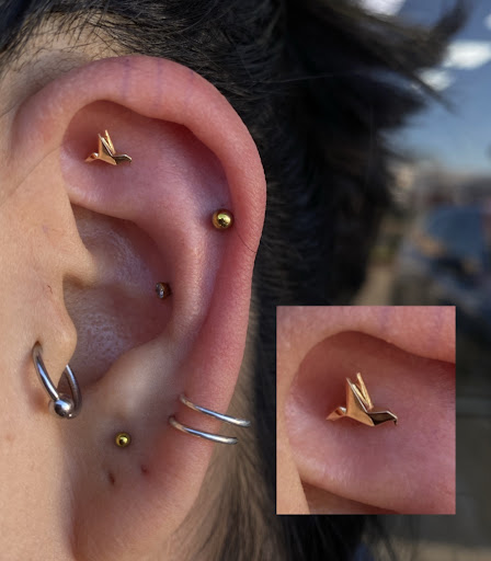 Explore rose and skull tattoo ideas, creative tattoo ideas in Houston, available at Body Art Piercing Studio