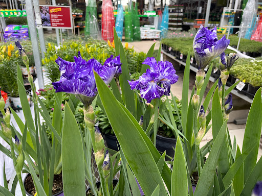 Home Improvement Store «The Home Depot», reviews and photos, 26241 Brookpark Rd, North Olmsted, OH 44070, USA