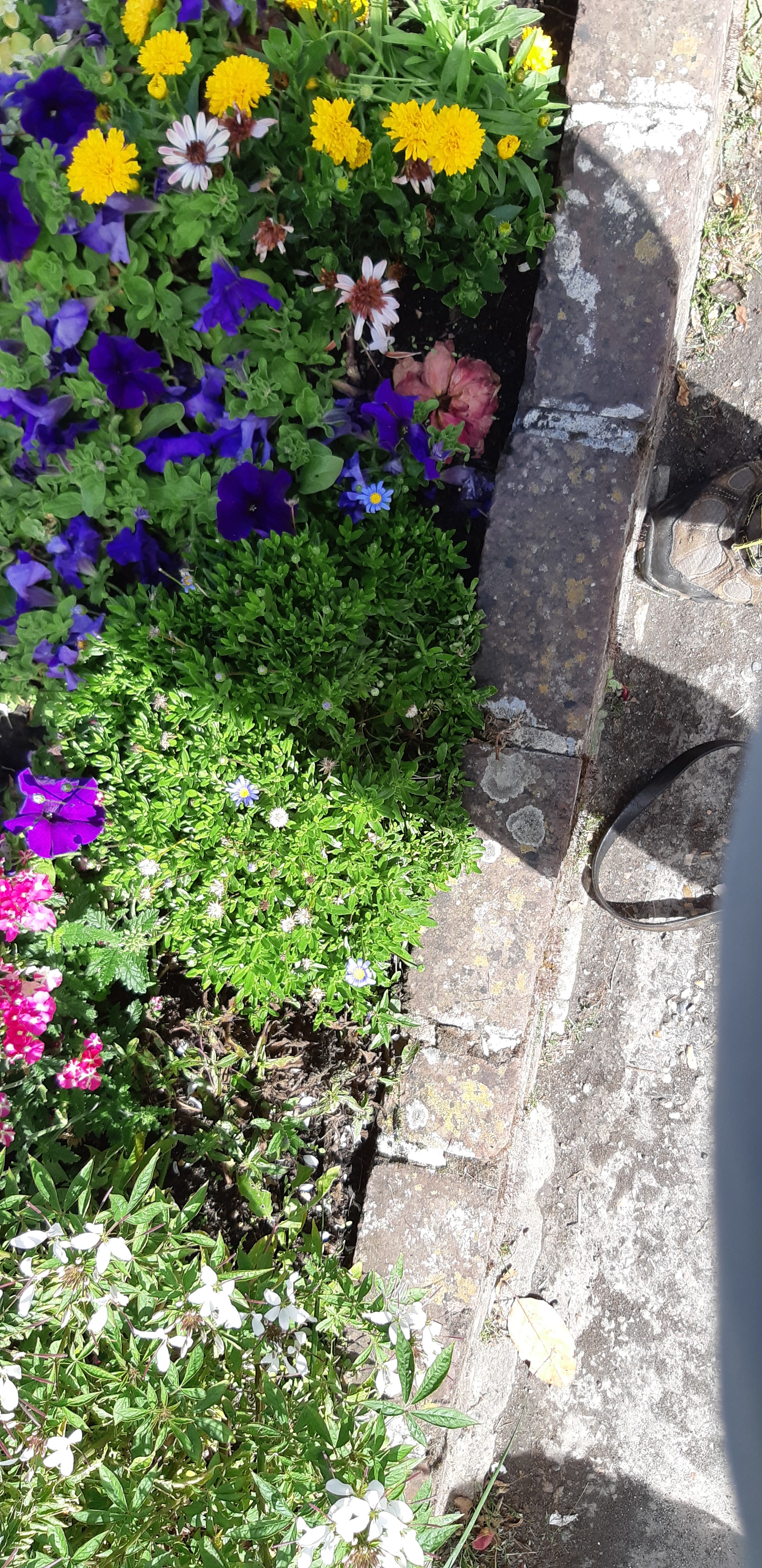 Photo n° 28 de l'avis de David.r fait le 02/08/2018 à 11:45