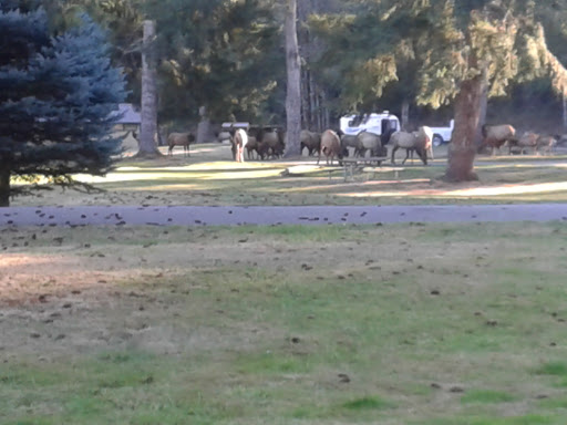 General Store «Brinnon General Store», reviews and photos, 306413 US-101, Brinnon, WA 98320, USA