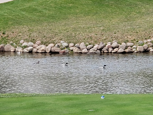 Private Golf Course «Blue Mound Golf and Country Club», reviews and photos, 10122 W North Ave, Wauwatosa, WI 53226, USA