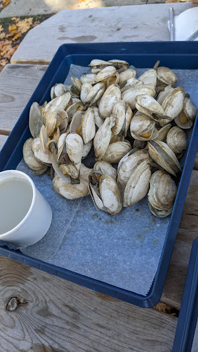 Seafood Market «Pine Tree Seafood & Produce», reviews and photos, 655 US-1, Scarborough, ME 04074, USA