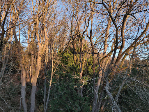 Park «Cowen Park», reviews and photos, 5849 15th Ave NE, Seattle, WA 98105, USA