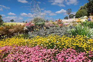 Australian Botanic Garden Mount Annan image