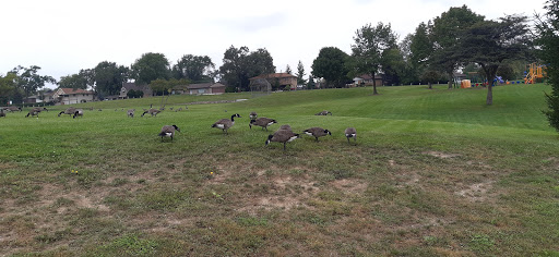 Park «Hickory Hills Park», reviews and photos, 8047 W 91st Pl, Hickory Hills, IL 60457, USA