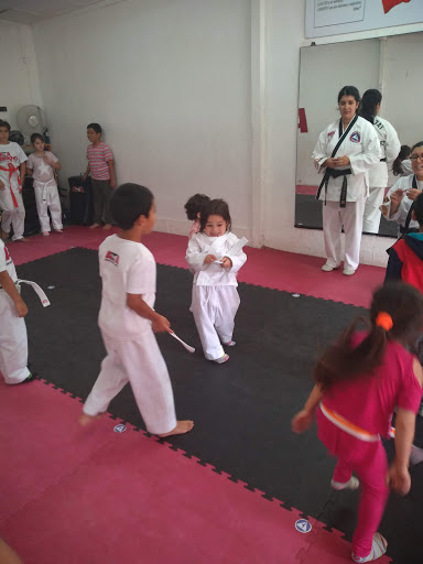 Academia Taekwondo ATA Viña del Mar-Batuco